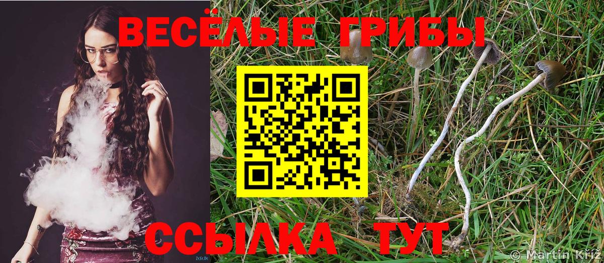 Галлюциногенные грибы MAGIC MUSHROOMS Унеча