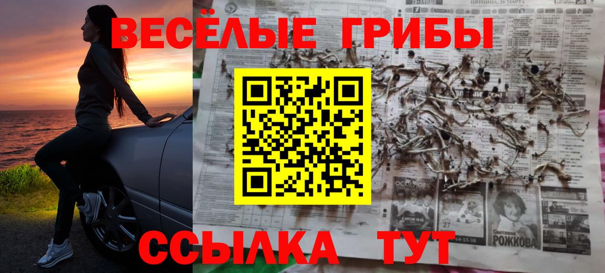как найти наркотики  Псилоцибиновые грибы мухоморы  Вход с VPN  Унеча 